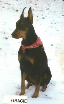 Gracie